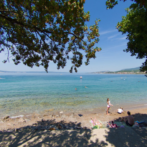 Image Not Found On Media Library